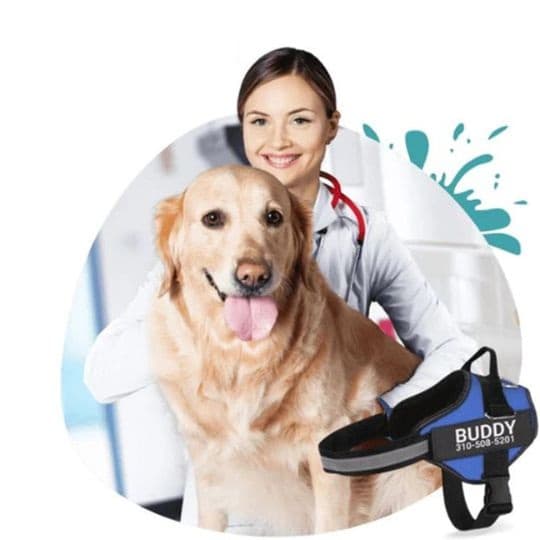 Dogflex 2 - MOCNE Szelki dla Psa z IMIENIEM + Numerem Tel. | Nie Ciągną! OKAZJA!